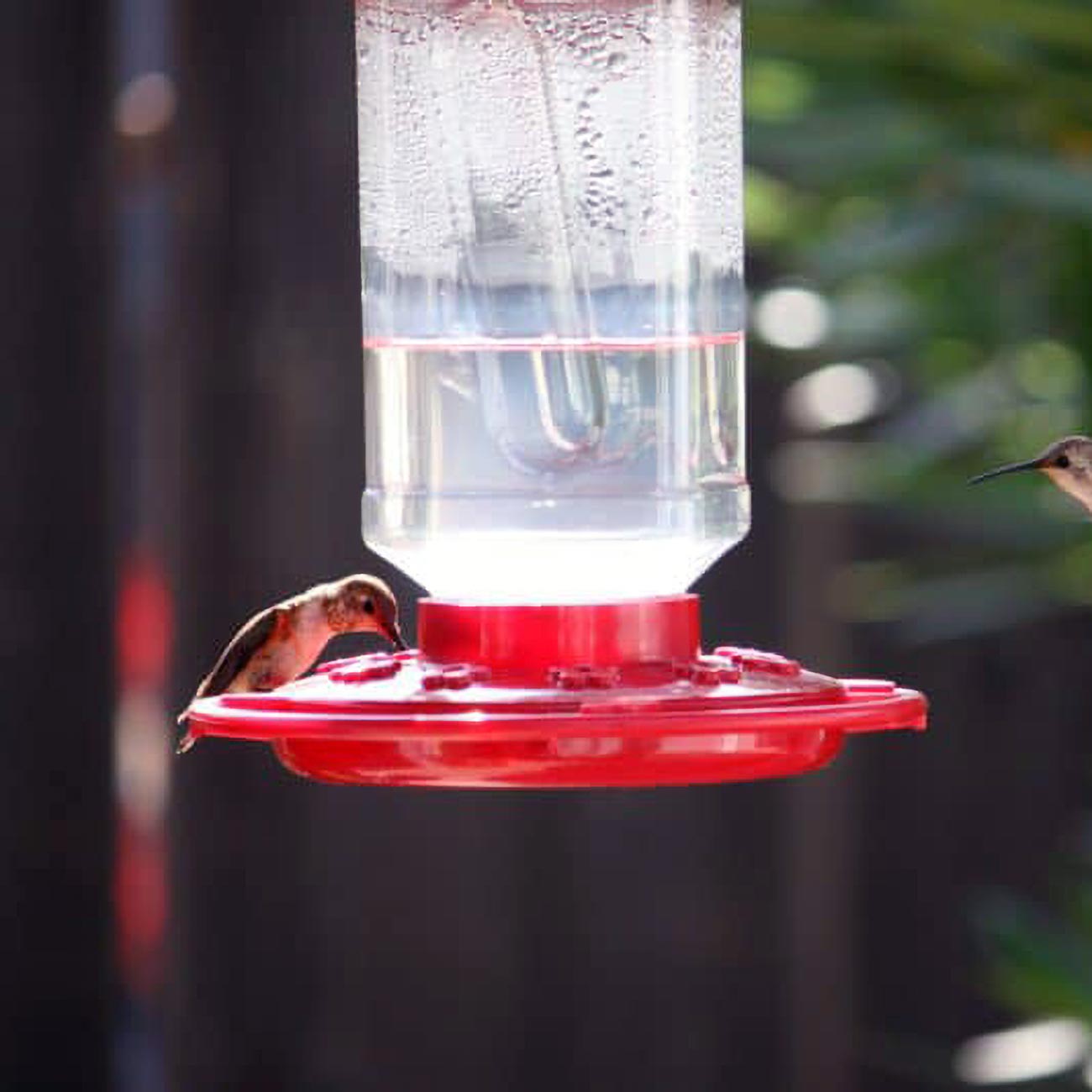 First Nature 3055 32-ounce Hummingbird Feeder