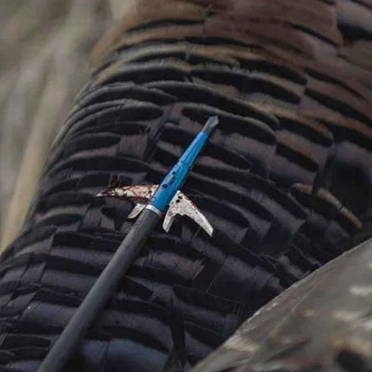Swhacker#261 Levi Morgan Series 2-Blade Broadhead 2" 100 Grain Pack of 3