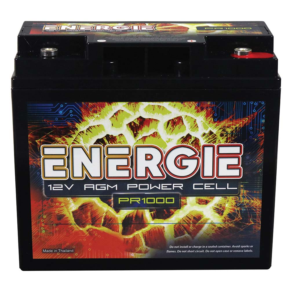Reikken PR1000 Energie 1000 Watt 12 Volt Power Cell