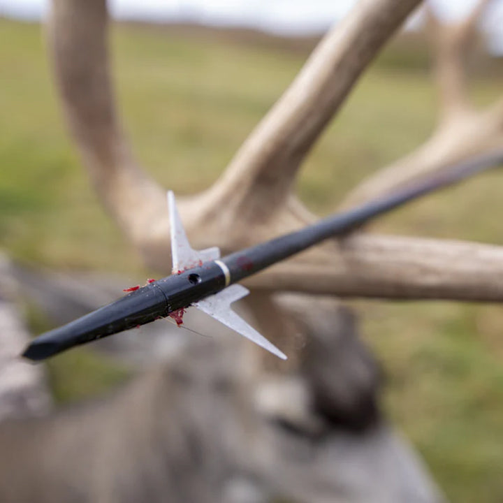 Swhacker SWH00202 125 Grain 2.25" 2 Blade Broadhead 3pk with Practice Tip