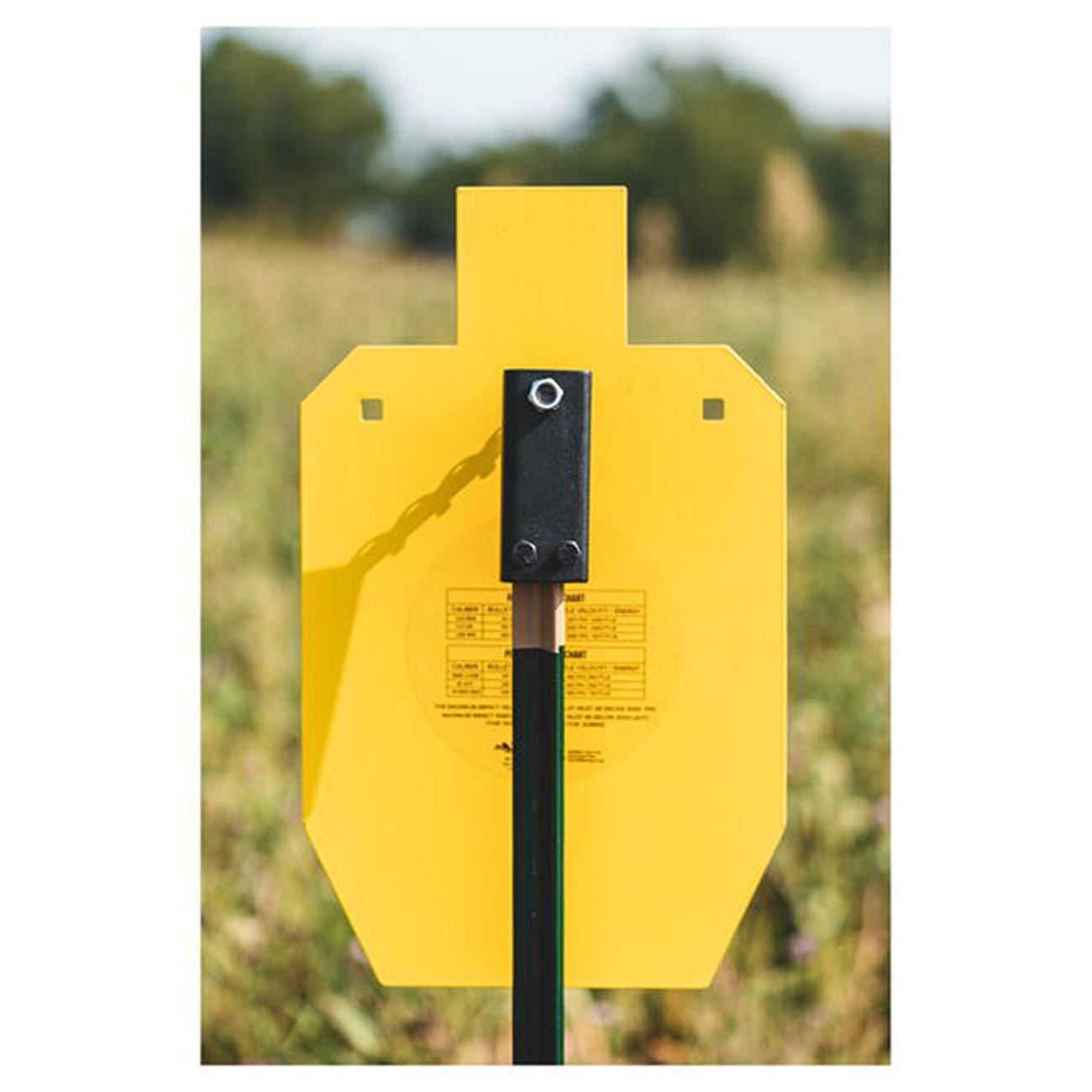 Caldwell unisex adult T-Post Plate Hanger Shooting Target, Yellow, One Size US