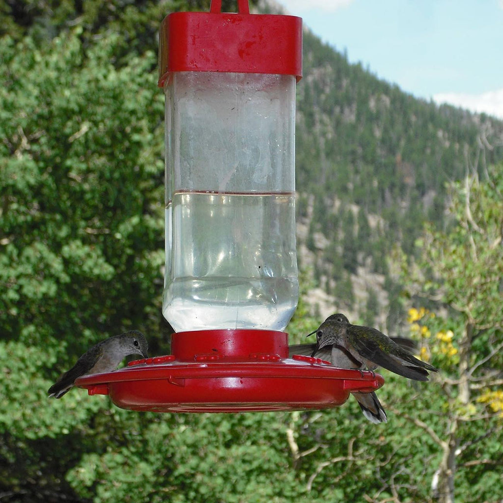 First Nature 3055 32-ounce Hummingbird Feeder
