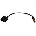 American International LX6 2003-2005 Lexus Male Antenna Adapter