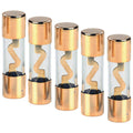 AUDIOP AGU60A 60 Amp Car Amplifier AGU Fuses - 5 Pack