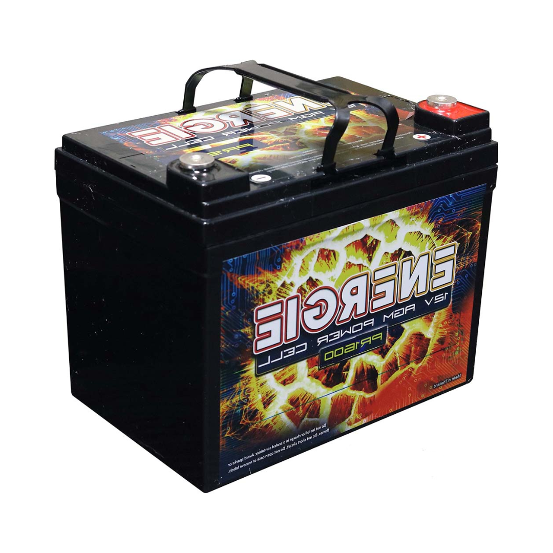 Reikken PR1600 Energie 1600 Watt 12 Volt Power Cell
