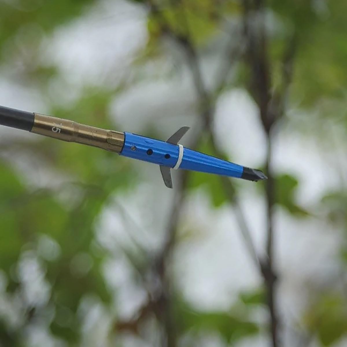 Swhacker #269 Levi Morgan Series 2-Blade Blade Lock Broadhead 2.5" Pack of 3, Blue
